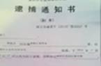 20亿身家村官爆料人被捕