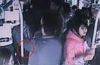 宁波公交众人合力擒贼