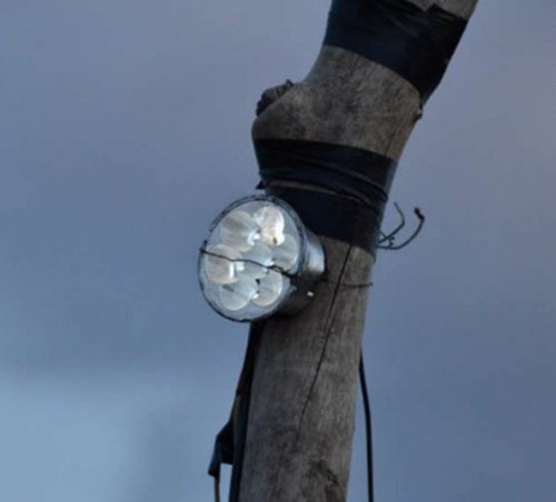 挂在牛棚栏杆上的LED灯