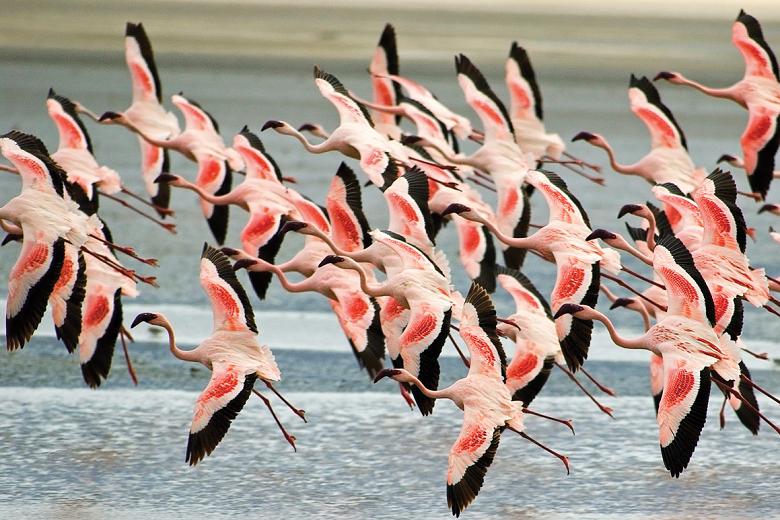 ���׸ǵٹ��ҹ�԰  ��Ⱥ�Ļ�����