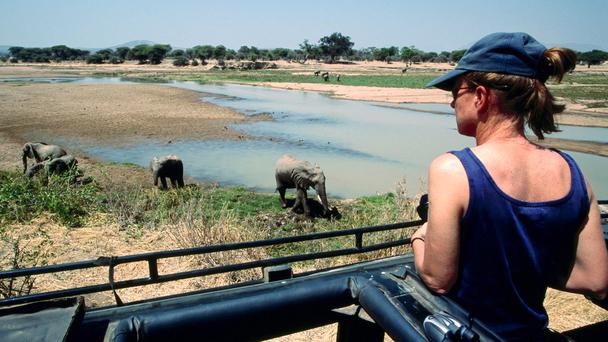 ʮ���������4   ³�������ҹ�԰����Ⱥ