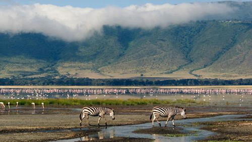 ʮ���������1   �����޶����޻�ɽ��