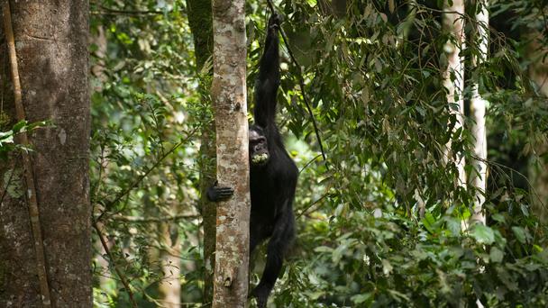 ʮ���������2   �����ɴ���