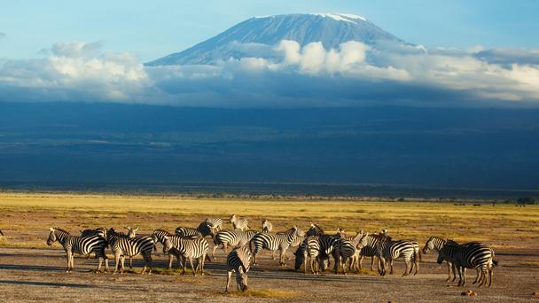 ʮ���������5   ����������ɽ