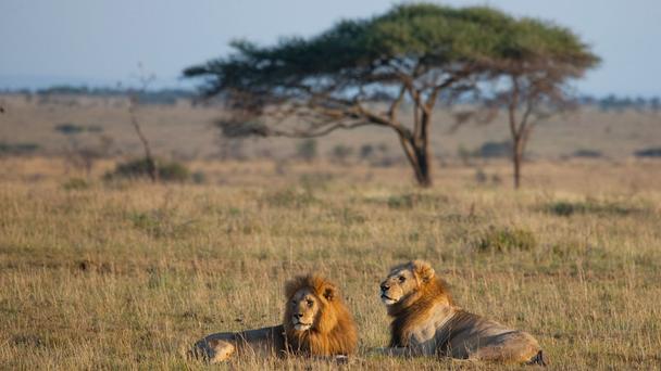 ʮ���������6   ���׸ǵڹ��ҹ�԰