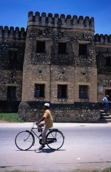 ʮ���������7    ɣ���Ͷ�ʯͷ��