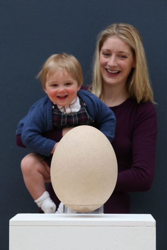 ��ͼ���޴����񵰻�ʯ���� �������ͨ����100����4��