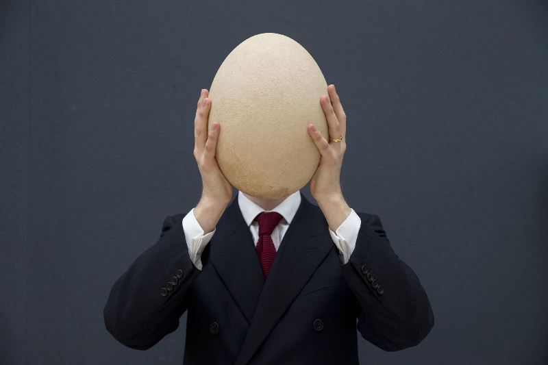 ��ͼ���޴����񵰻�ʯ���� �������ͨ����100����2��