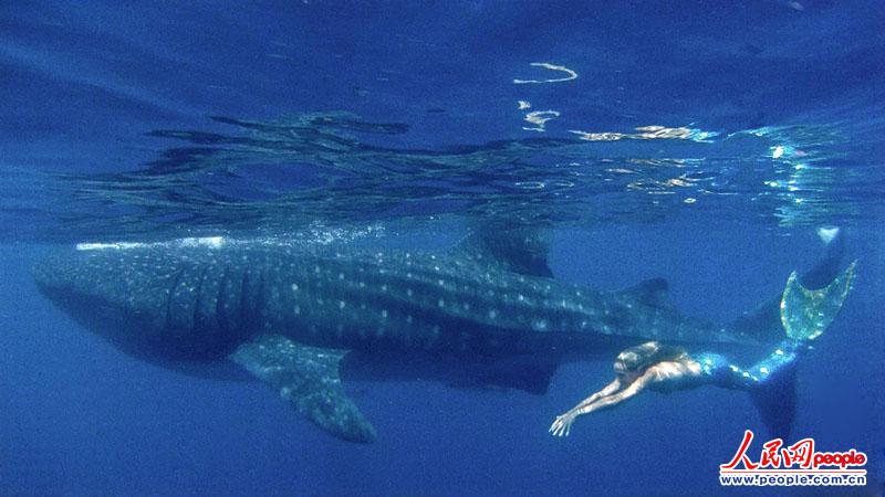 ʱ201341գɼ32ֵ-ֶΪһȫְרҵ㡱ؽˮ¡㡱ıݡֵˮԼãǱˮ35״ˮ±5ӡòͼõˮ󱣻ֵƽʱʹõ嶯ѧβش167¡ķ1Ӣ졣ͼƬԴIC ȨУñؾ