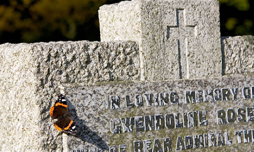 �½�11111����Ĺ