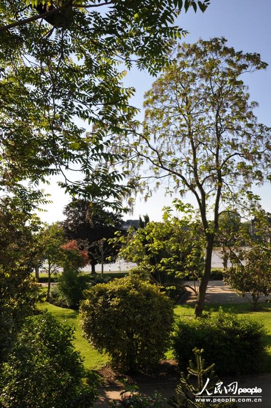 �ӱ������˸���ֲ��γ�����Ȼ�Ľ��Ļ�԰���������� ֣��ͤ �㣩