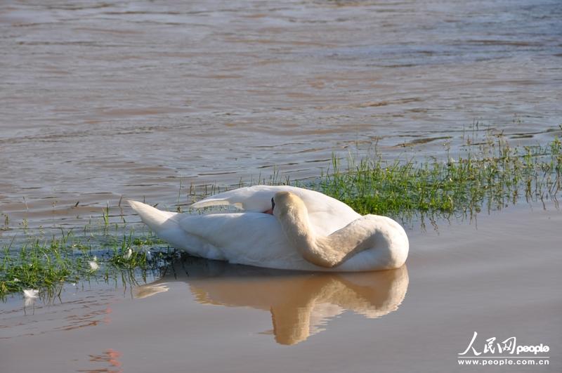 �������糿����컹û��˯�ѡ��������� ֣��ͤ �㣩