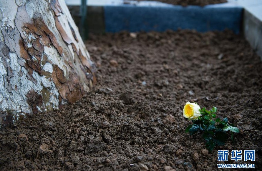 427գŮضϾιֻվϾɱͬݡ