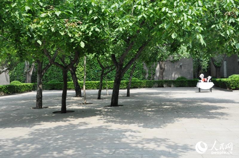 ���ⰻȻ��ͥԺ��һȦ���㷿��Χ�ƣ������ĺ�Ժһ��������Ӱ�������� ֣��ͤ����