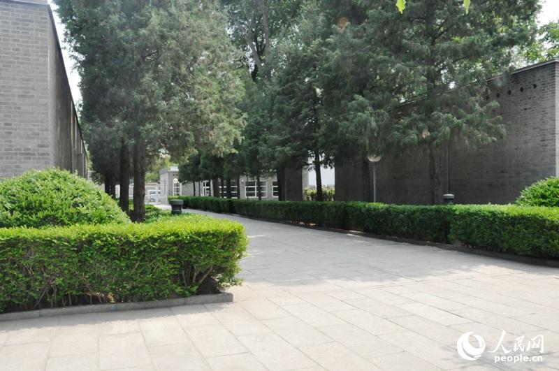 �������ź���ͥԺ�������������Ӱ�������� ֣��ͤ��