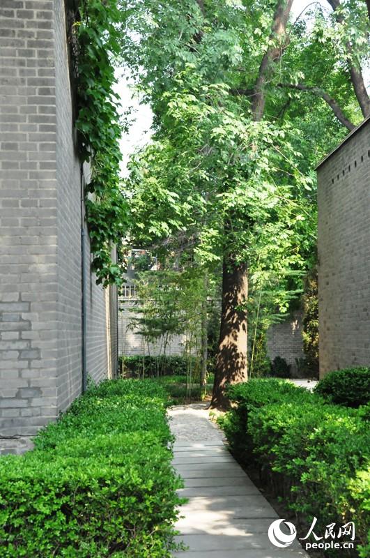 ���ͬһ����С·������Ӱ�������� ֣��ͤ��