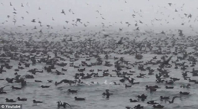 ���ݺ�ˮ��ھ������ˣ�����30�겻��������Ⱥ(ͼ)��6��