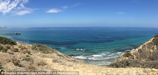 ���ݺ�ˮ��ھ������ˣ�����30�겻��������Ⱥ(ͼ)��2��