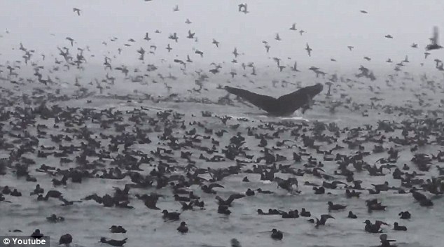 ���ݺ�ˮ��ھ������ˣ�����30�겻��������Ⱥ(ͼ)��7��