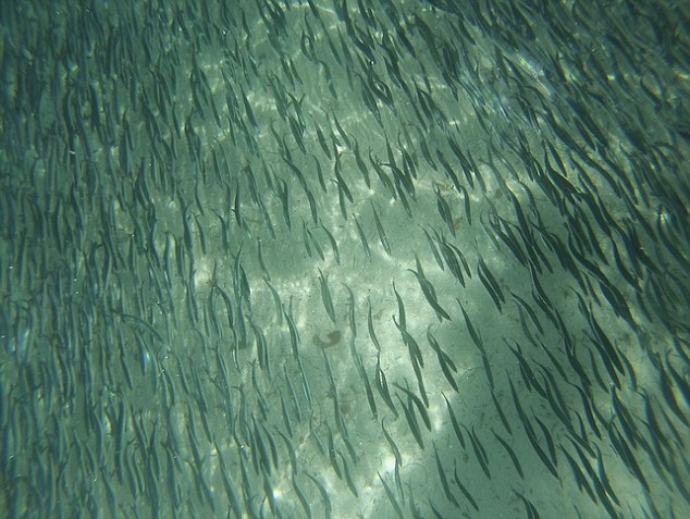 ���ݺ�ˮ��ھ������ˣ�����30�겻��������Ⱥ(ͼ)��5��