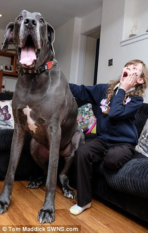 �Ͷ������άŵ11���Ů��