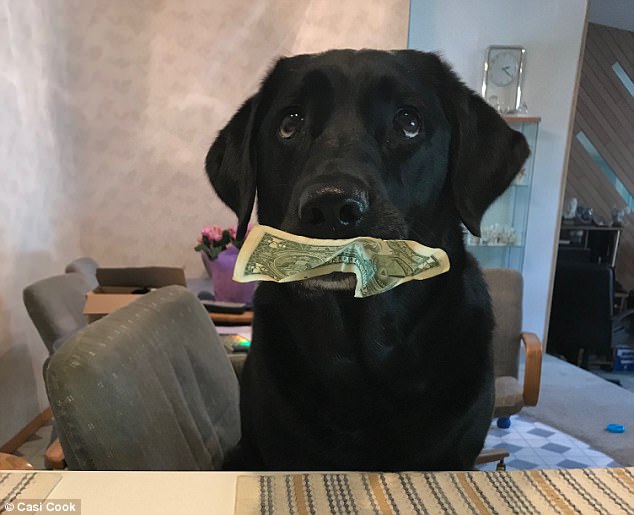 霍莉会拿来一美元,将其换成一个饼干。