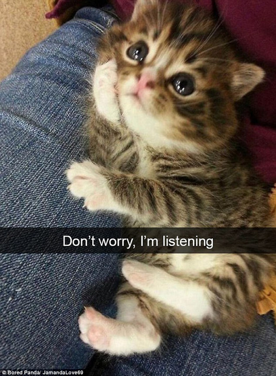 һ������ͼ˵�� �������������ҫ����