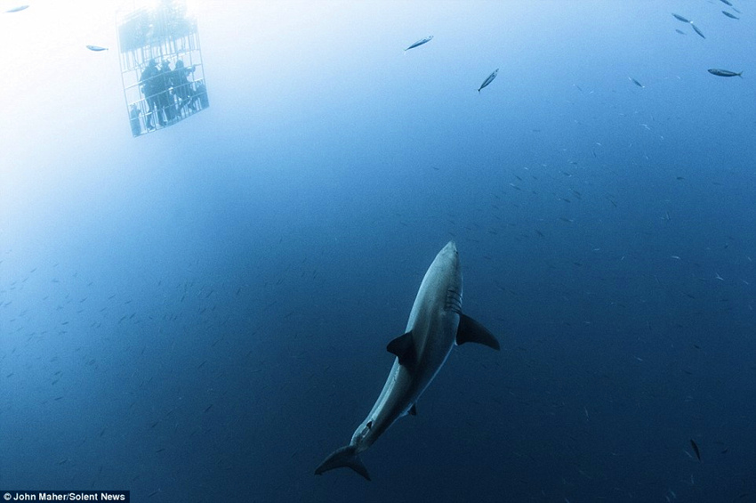 �о���Ավ����������������ش�������������ŵ���Ǳˮ����������ȥ��