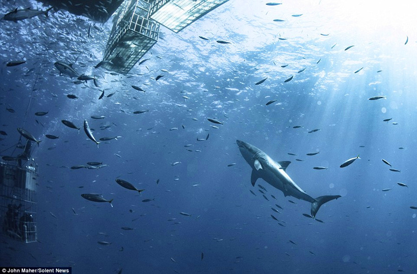 ����Ǳˮ����ˮ��12����ĵط���