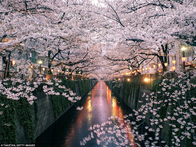 �ձ�������ӣ�����ˣ����ŷ�ɫ���ȥ�ͻ��ɡ�