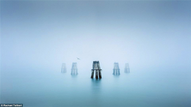 ��������˵�󺣺�Σ���Ҳ���Ԥ�⣬���ɵ͹���