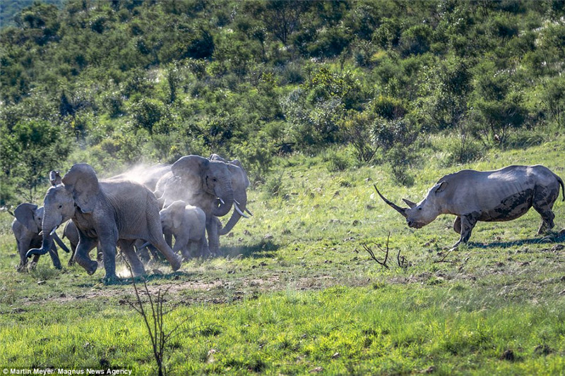 �������ŵ��Ĵ���ɢ������һ������