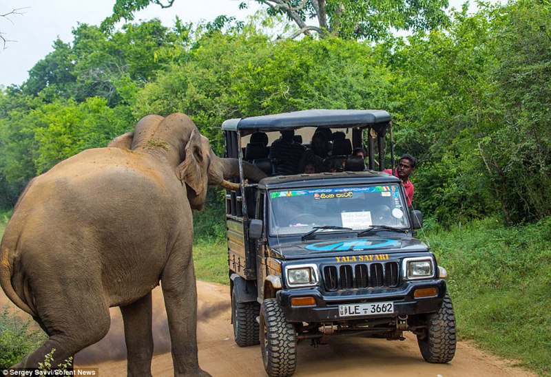 ��������ǽ��������복��Ѱ��ʳ��ġ�