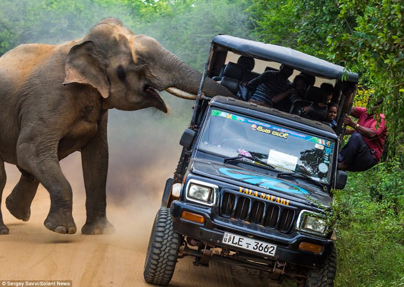 ���󽫱���������ڣ�һ�����Ӳ�ȡ���붯����