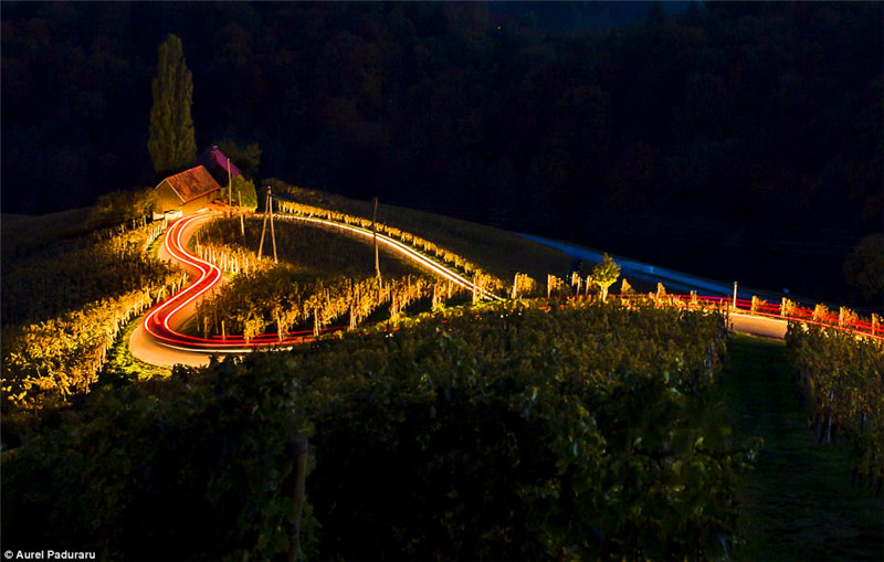 ���������ڵ�·����������������������״��