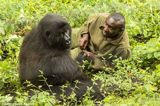 �����һ�����ʱ������ɽ�����