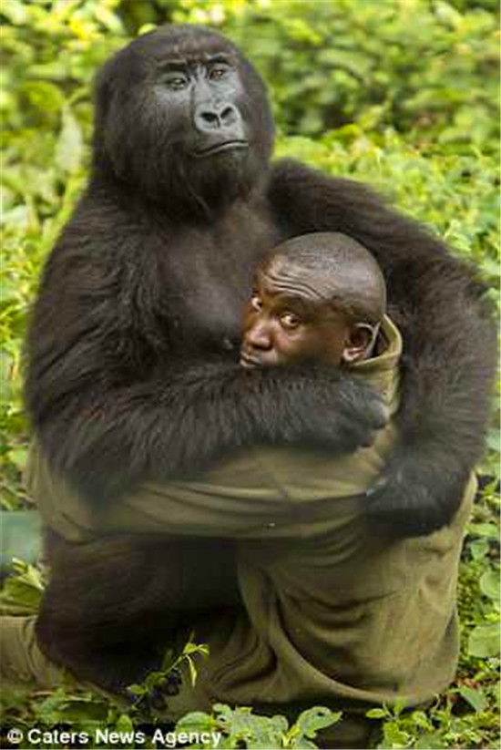 �����ɰѹ���Ա���������ڻ��С�