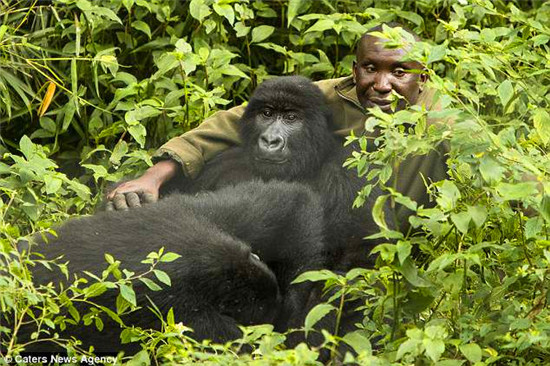 ��Щ��Ƭ����2017��12������ģ��⼸ֻ�����ɷֱ���ΪNdakasi��Ndeze��Matabishi��