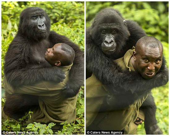 ��Щ��������ȫ���������Ƕ԰����ҵ�ϲ�����������Դ���ӵ����