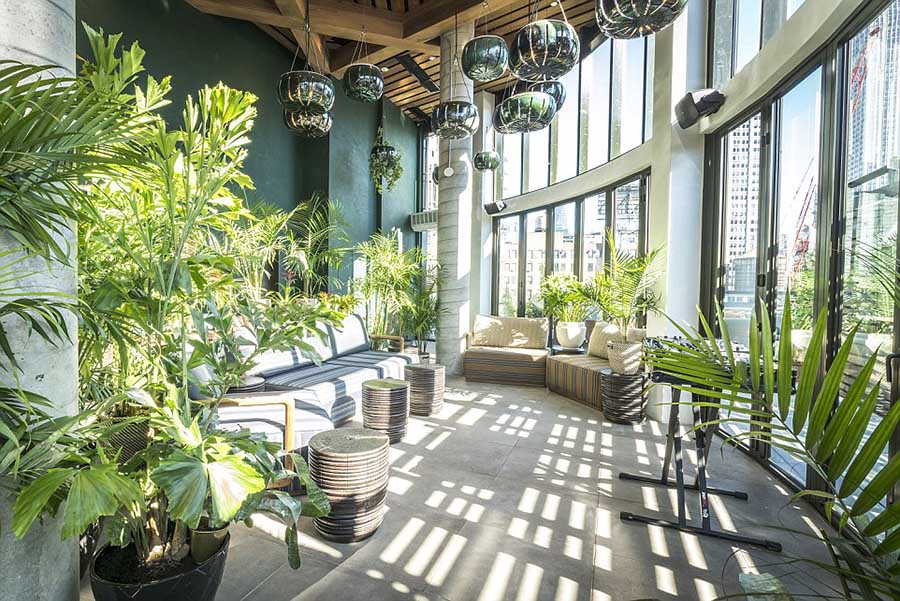 �Ƶ����кܶ���ɫֲ�������������ֲ��͵�����