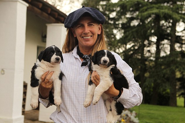 你很可能会发现自己与牧场九只狗的一只共用一张沙发。