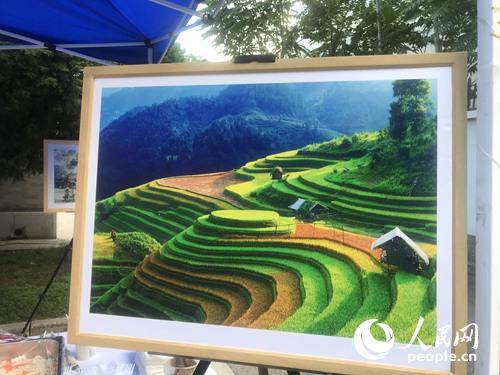 画中是越南梯田美景