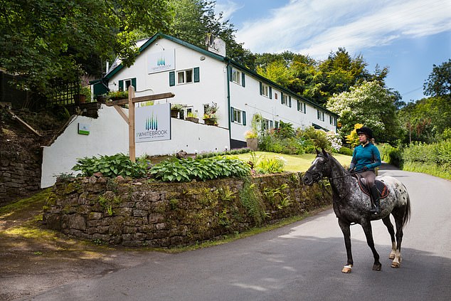 ��ס�����ܷ�� Ʒ������ʳ