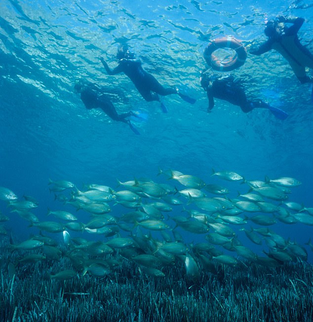 家庭娱乐:在Costa Brava可以体验浮潜或皮划艇。