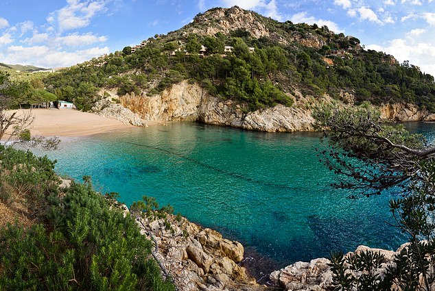 保持忙碌:体验风帆冲浪、水上摩托艇和帆船运动。