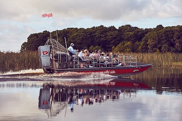 乘坐汽船是探索令人惊叹的大沼泽地国家公园的绝佳方式。