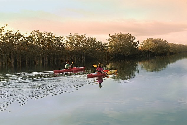 乘坐独木舟或皮划艇。