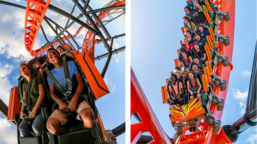 �οͳ�����ɽ���ڿ��з��С�