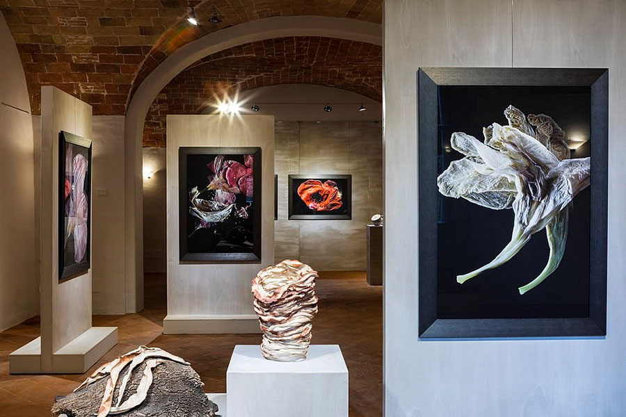 ˹Borgo PignanoƵղء