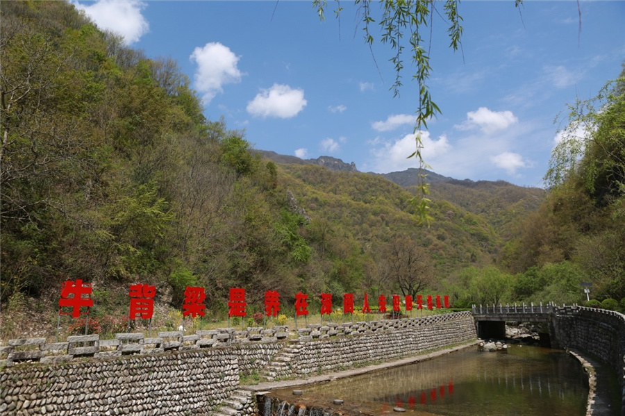 ţδʶȻɡйԼ췽ͼ